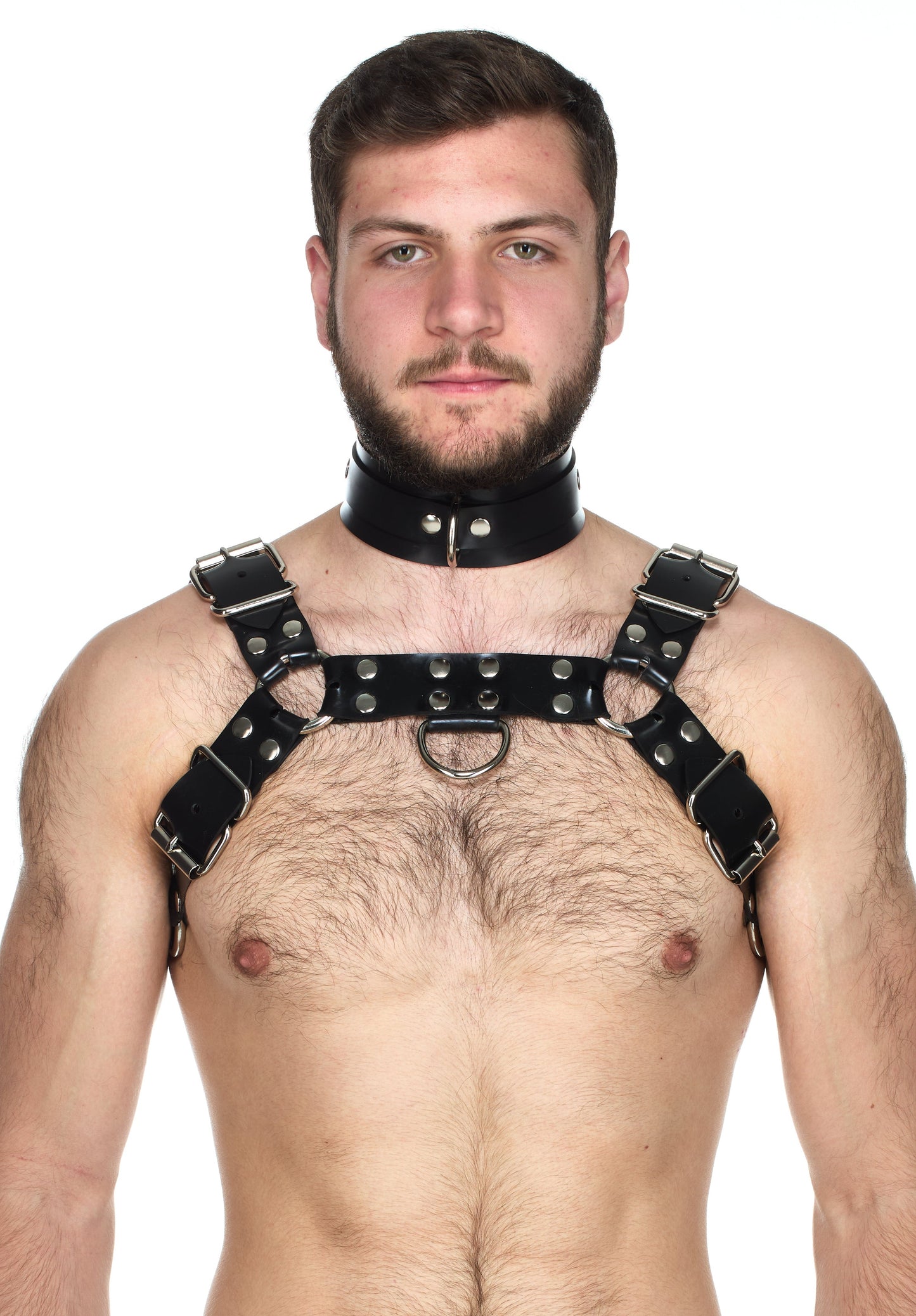 Heavy rubber Bulldog Harness