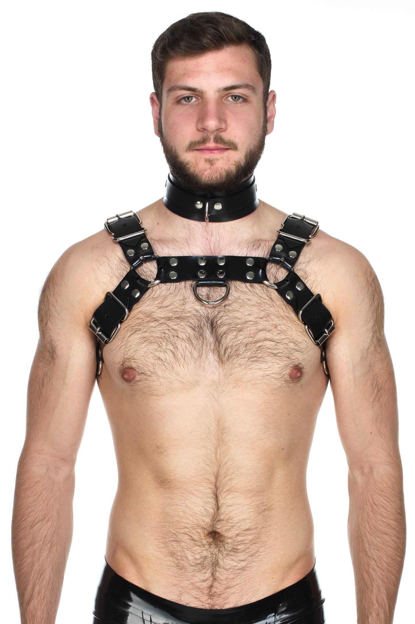 Heavy rubber Bulldog Harness