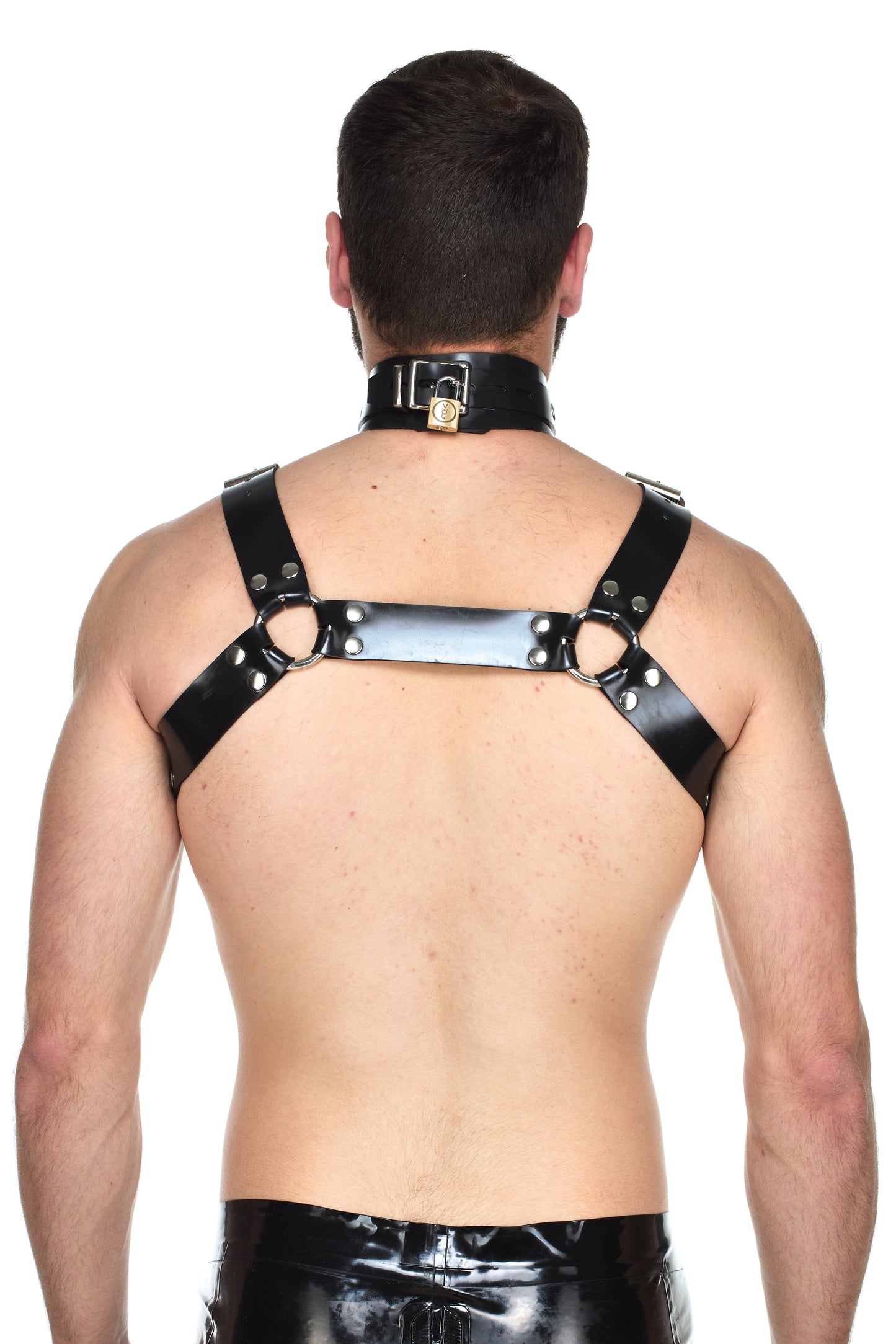 Heavy rubber Bulldog Harness